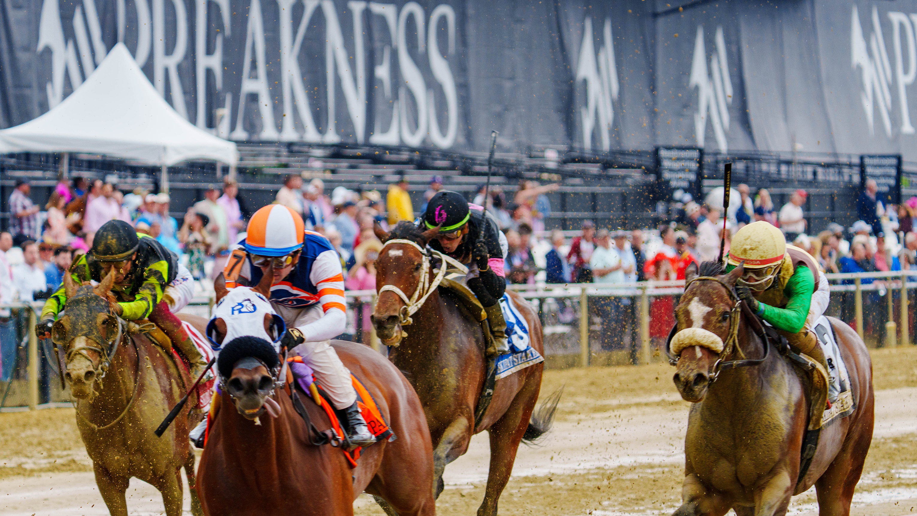 Preakness 149